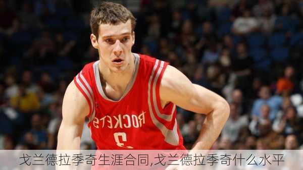 戈兰德拉季奇生涯合同,戈兰德拉季奇什么水平