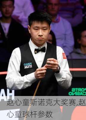 赵心童斯诺克大奖赛,赵心童球杆参数