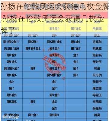 孙杨在伦敦奥运会获得几枚金牌,孙杨在伦敦奥运会获得几枚金牌了