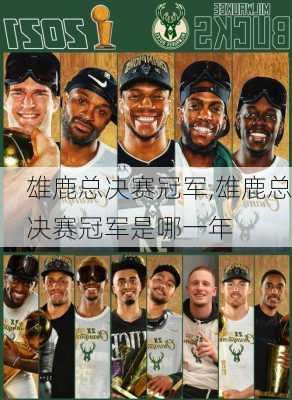 雄鹿总决赛冠军,雄鹿总决赛冠军是哪一年