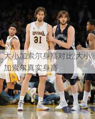 大小加索尔身高对比,大小加索尔真实身高