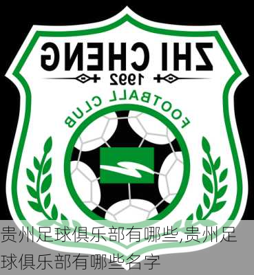 贵州足球俱乐部有哪些,贵州足球俱乐部有哪些名字