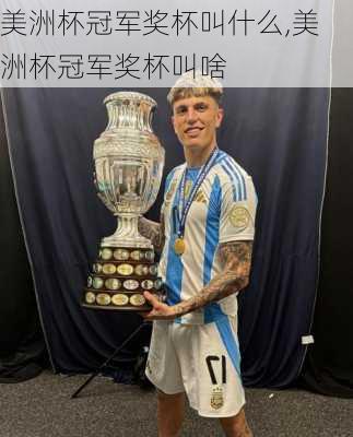 美洲杯冠军奖杯叫什么,美洲杯冠军奖杯叫啥