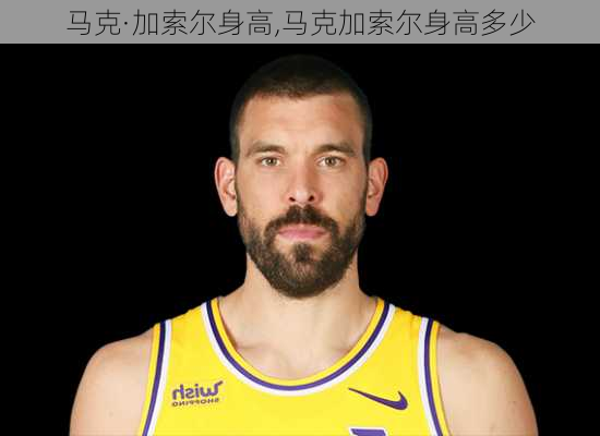 马克·加索尔身高,马克加索尔身高多少