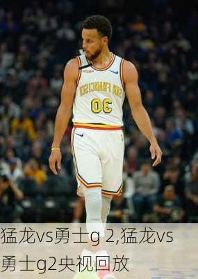 猛龙vs勇士g 2,猛龙vs勇士g2央视回放