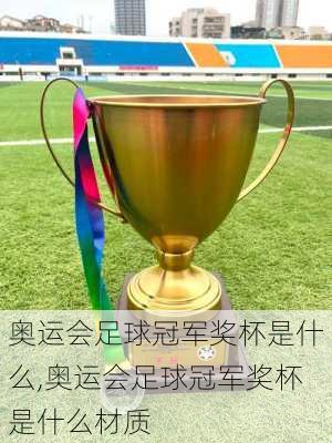 奥运会足球冠军奖杯是什么,奥运会足球冠军奖杯是什么材质