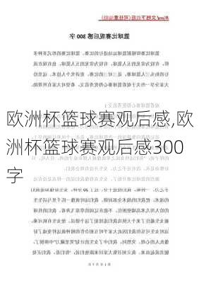 欧洲杯篮球赛观后感,欧洲杯篮球赛观后感300字