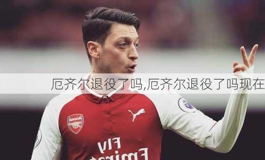 厄齐尔退役了吗,厄齐尔退役了吗现在