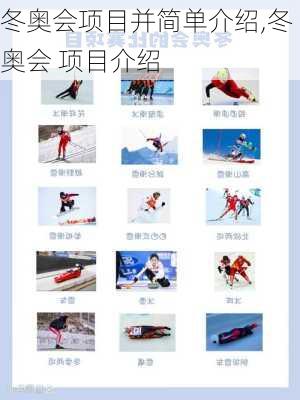 冬奥会项目并简单介绍,冬奥会 项目介绍