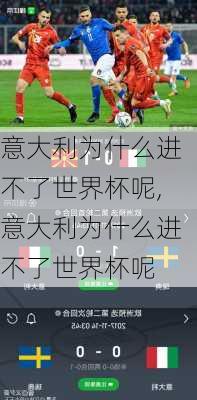 意大利为什么进不了世界杯呢,意大利为什么进不了世界杯呢