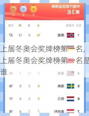 上届冬奥会奖牌榜第一名,上届冬奥会奖牌榜第一名是谁