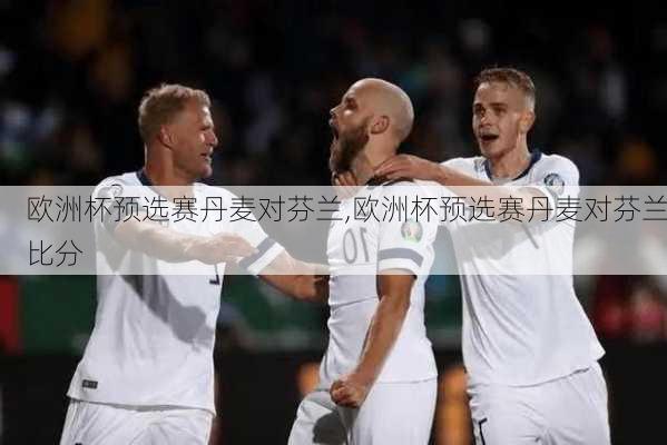 欧洲杯预选赛丹麦对芬兰,欧洲杯预选赛丹麦对芬兰比分