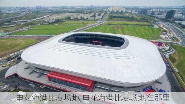 申花海港比赛场地,申花海港比赛场地在那里