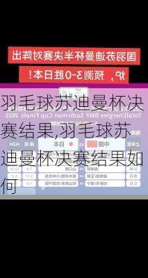 羽毛球苏迪曼杯决赛结果,羽毛球苏迪曼杯决赛结果如何