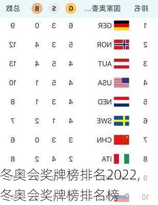 冬奥会奖牌榜排名2022,冬奥会奖牌榜排名榜