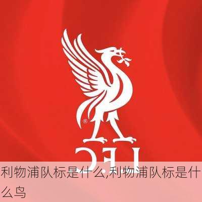 利物浦队标是什么,利物浦队标是什么鸟