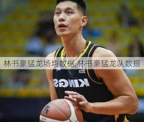 林书豪猛龙场均数据,林书豪猛龙队数据