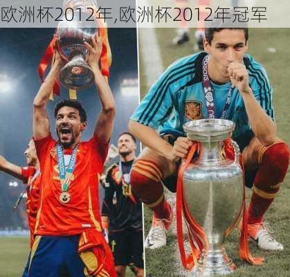 欧洲杯2012年,欧洲杯2012年冠军
