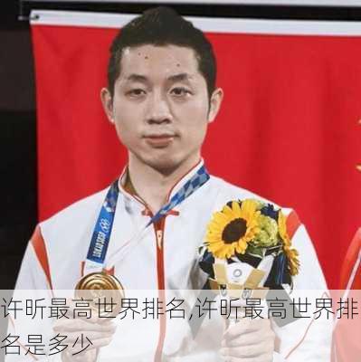 许昕最高世界排名,许昕最高世界排名是多少