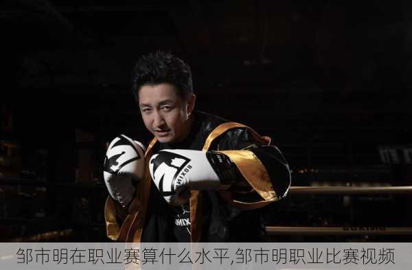 邹市明在职业赛算什么水平,邹市明职业比赛视频